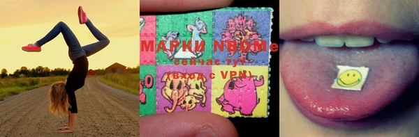 мет Бородино