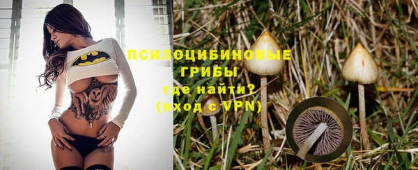 герыч Бронницы